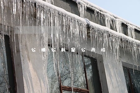 公捕公判是公开吗 公捕公判是公开吗