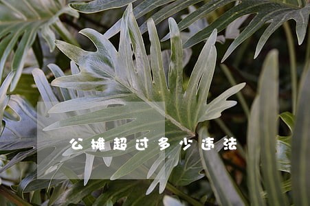 公摊超过多少违法 公摊超过多少违法