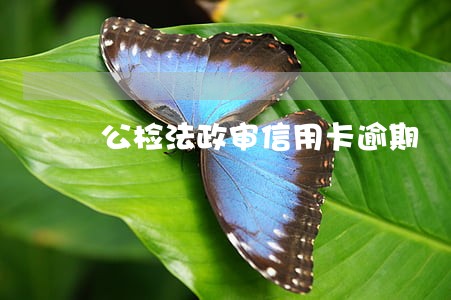 公检法政审信用卡逾期