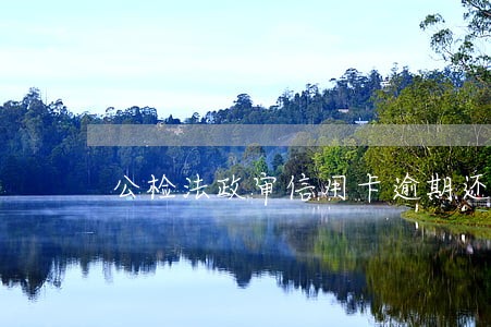 公检法政审信用卡逾期还款后果