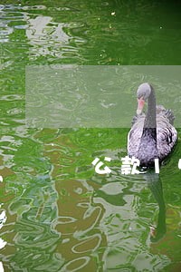 公款1500元逾期三年未交 公款1500元逾期三年未交