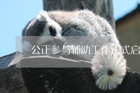 公正参与辅助工作正式启动 公正参与辅助工作正式启动