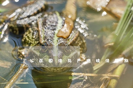 公正司法与严格执法区别