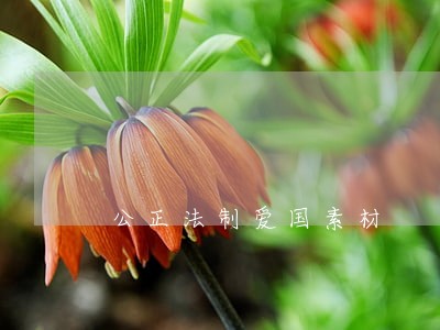 公正法制爱国素材 公正法制爱国素材