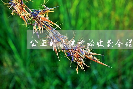 公正的法律诉讼收费合理 公正的法律诉讼收费合理