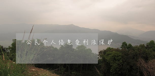 公民个人信息受刑法保护 公民个人信息受刑法保护