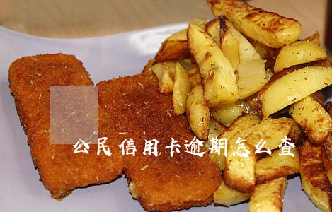 公民信用卡逾期怎么查 公民信用卡逾期怎么查