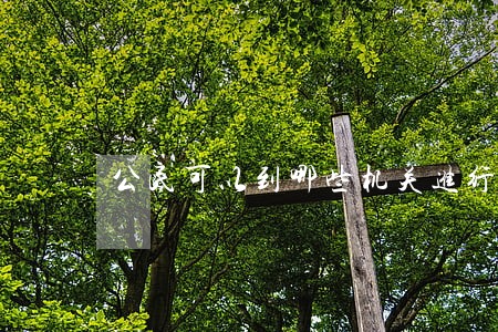 公民可以到哪些机关进行诉讼 公民可以到哪些机关进行诉讼