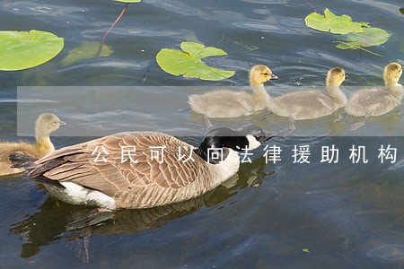 公民可以向法律援助机构 公民可以向法律援助机构