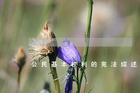 公民基本权利的宪法综述 公民基本权利的宪法综述