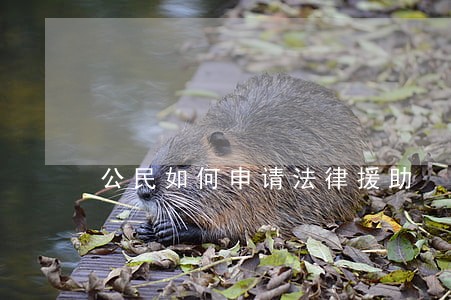 公民如何申请法律援助 公民如何申请法律援助