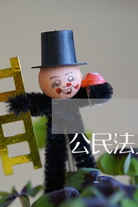 公民法人或其他组织未经行政许可 公民法人或其他组织未经行政许可