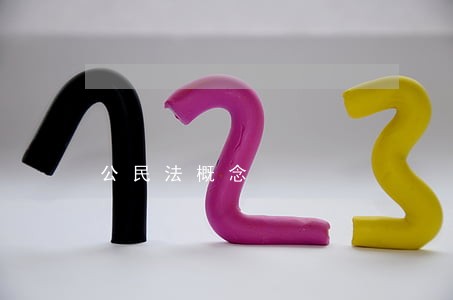 公民法概念 公民法概念
