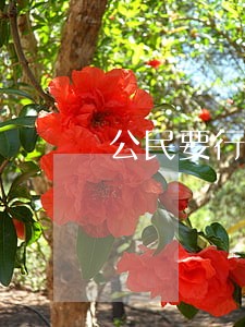 公民要行使遵守宪法和法律的权利 公民要行使遵守宪法和法律的权利