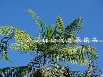 公民诉讼代理承诺书