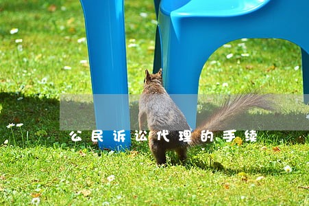 公民诉讼代理的手续