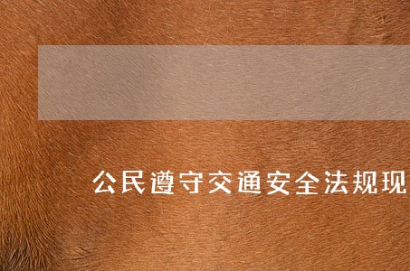 公民遵守交通安全法规现状调查 公民遵守交通安全法规现状调查