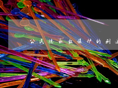 公民隐私权保护的刑法完善 公民隐私权保护的刑法完善