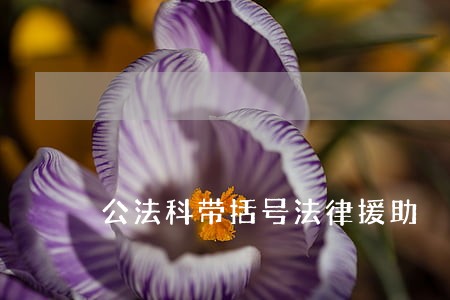 公法科带括号法律援助 公法科带括号法律援助
