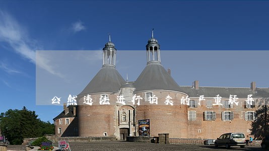 公然违法进行拍卖的严重疑异 公然违法进行拍卖的严重疑异