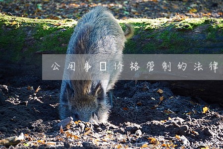 公用事業价格管制的法律制度研究 公用事業价格管制的法律制度研究