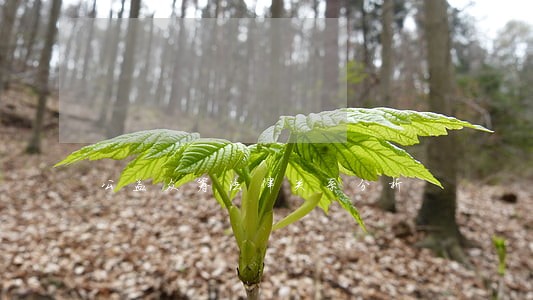 公益众筹法律关系分析 公益众筹法律关系分析