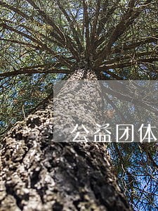 公益团体的法律顾问
