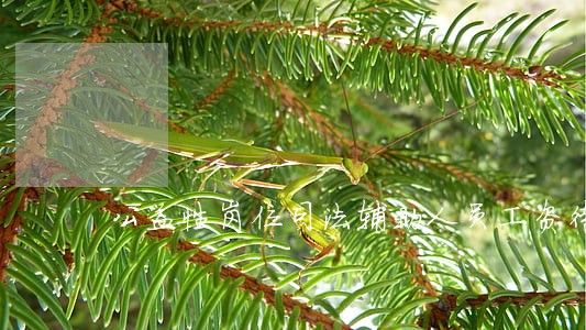 公益性岗位司法辅助人员工资待遇 公益性岗位司法辅助人员工资待遇