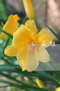 公益性法律咨询机构 公益性法律咨询机构