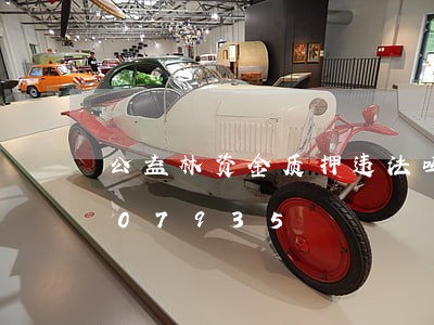 公益林资金质押违法吗/2023020307935 公益林资金质押违法吗/2023020307935