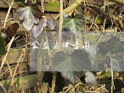 公益法律咨询 公益法律咨询