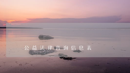 公益法律咨询信息表