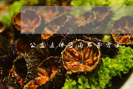 公益法律咨询服务方案 公益法律咨询服务方案