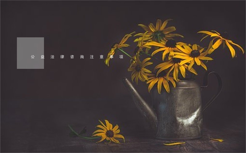 公益法律咨询注意事项 公益法律咨询注意事项