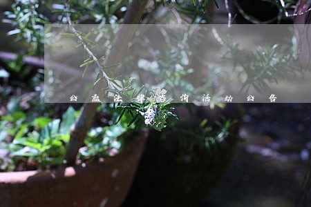 公益法律咨询活动公告 公益法律咨询活动公告
