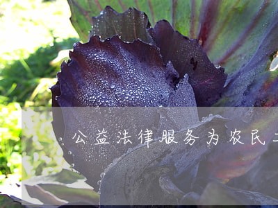 公益法律服务为农民工答疑解惑 公益法律服务为农民工答疑解惑