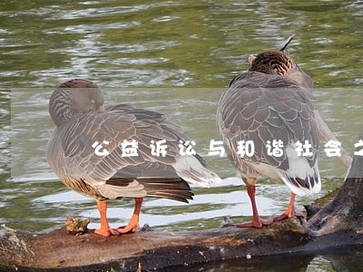 公益诉讼与和谐社会之构建 公益诉讼与和谐社会之构建
