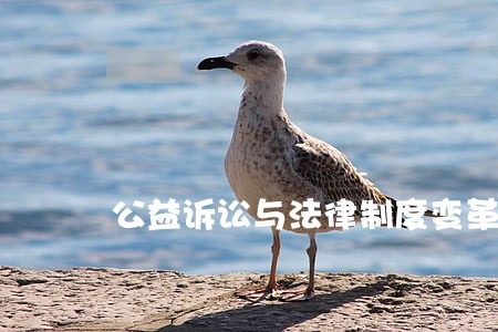 公益诉讼与法律制度变革构想