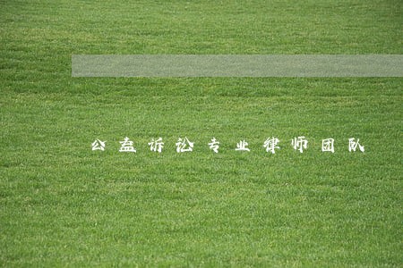 公益诉讼专业律师团队