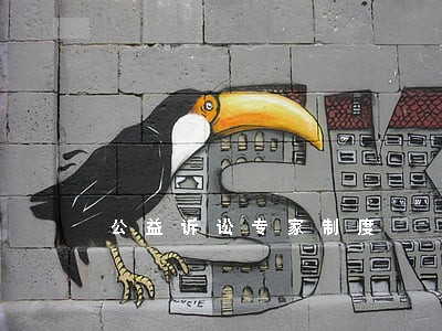公益诉讼专家制度