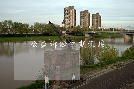 公益诉讼中期汇报