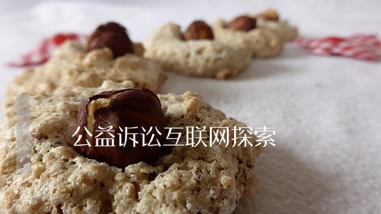 公益诉讼互联网探索 公益诉讼互联网探索