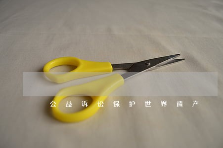 公益诉讼保护世界遗产