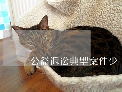 公益诉讼典型案件少 公益诉讼典型案件少
