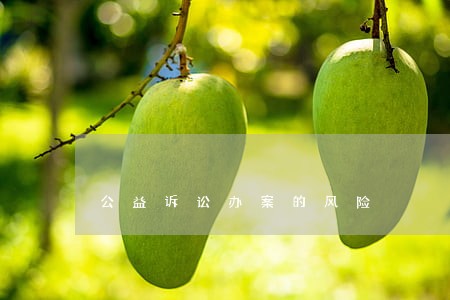 公益诉讼办案的风险 公益诉讼办案的风险