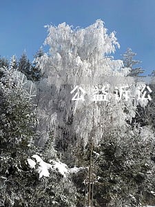 公益诉讼后被罚24万 公益诉讼后被罚24万