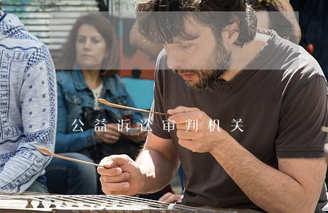 公益诉讼审判机关