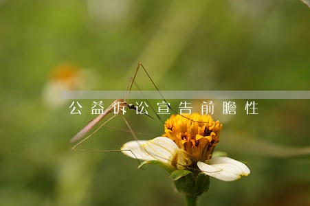 公益诉讼宣告前瞻性