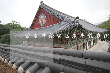 公益诉讼岗位基本能力标准 公益诉讼岗位基本能力标准