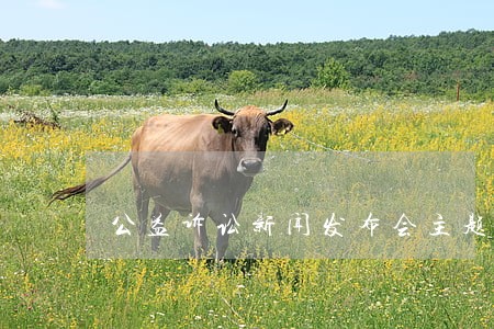 公益诉讼新闻发布会主题